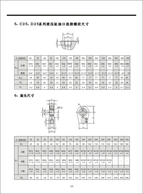 C25、D25系列高压重型液压缸05